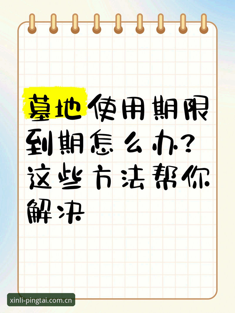 新利娱乐项目下载不了怎么办？这些实用方法帮你快速解决